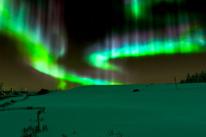 荣耀时刻！温网奖杯终属谁家悬念迭起！